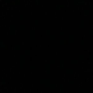 Meet your Posher, Shea